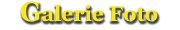 Galerie Foto